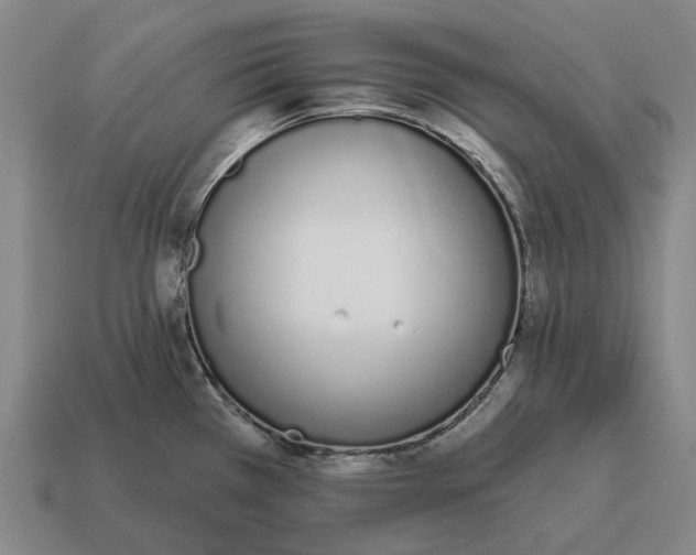 X0000115111385200911101556
