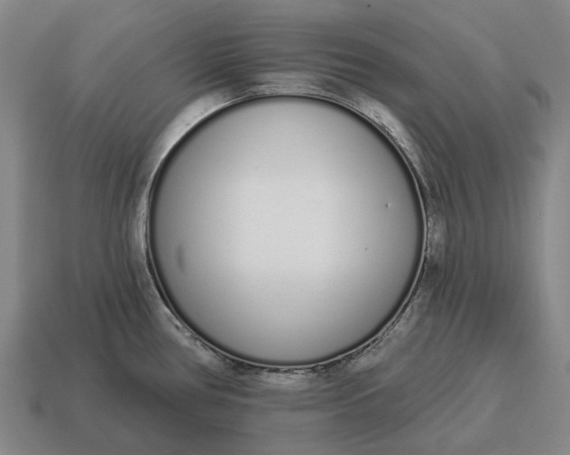X0000115111386200911101556