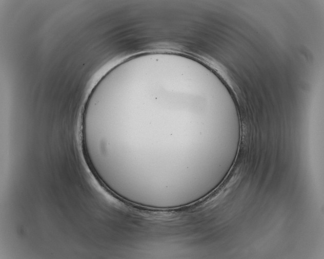 X0000115111387200911101556
