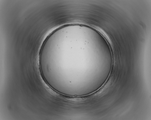 X0000115111388200911101556
