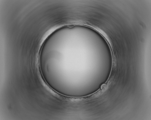 X0000115111389200911101556