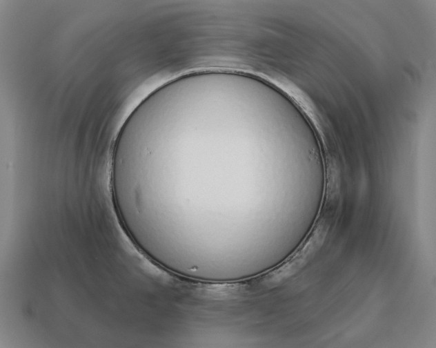 X0000115111390200911101556