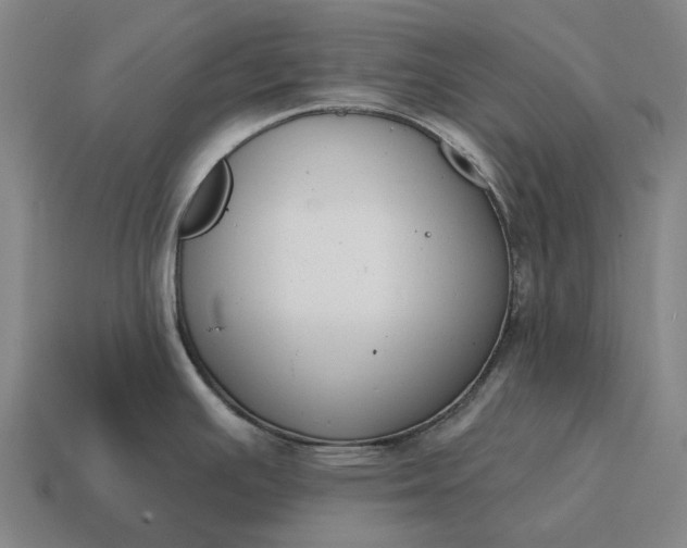 X0000115111391200911101556