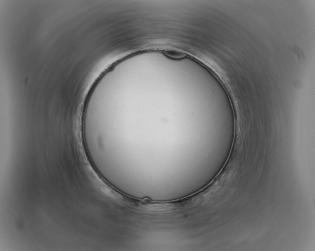 X0000115111392200911101556