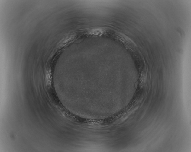 X0000115111394200911101555