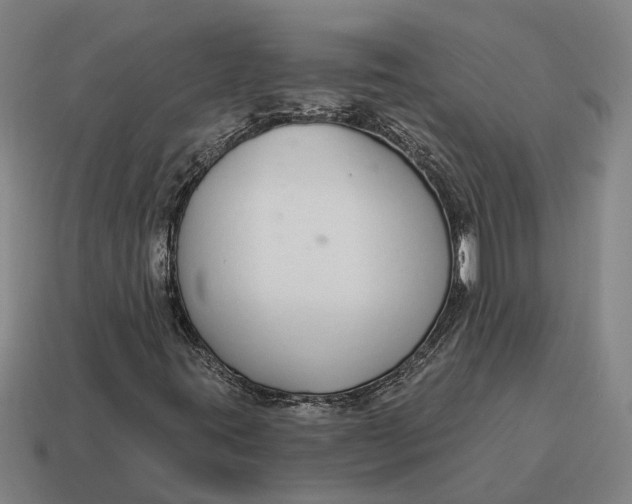 X0000115111395200911101555
