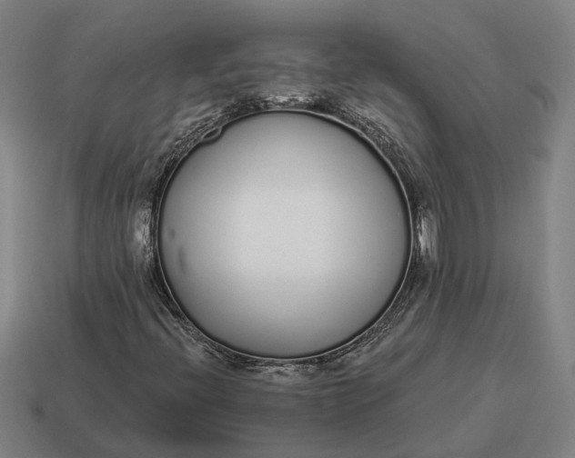 X0000115111396200911101555