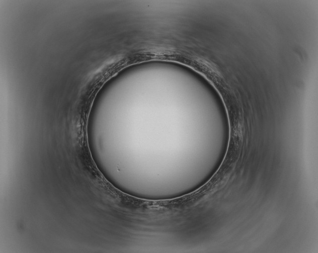 X0000115111398200911101555