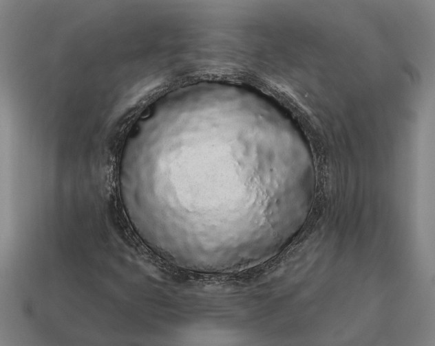 X0000115111399200911101555