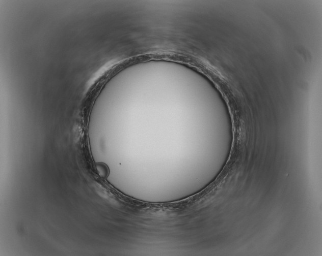 X0000115111400200911101555