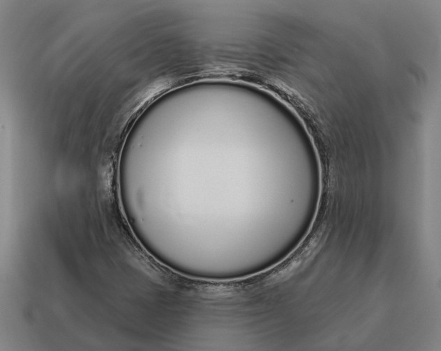 X0000115111401200911101555