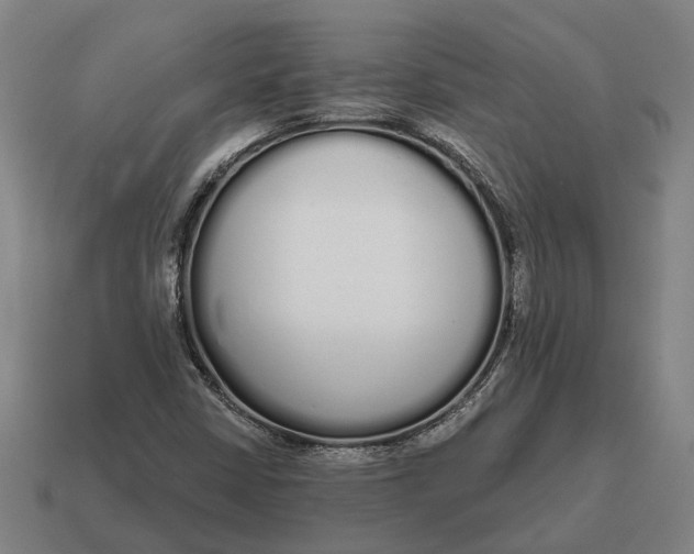 X0000115111402200911101555