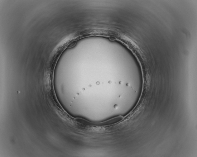 X0000115111403200911101555