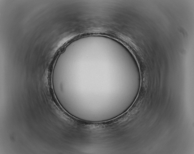 X0000115111404200911101555