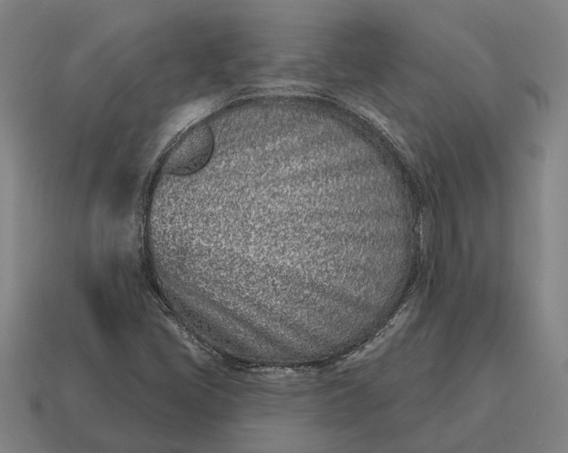 X0000115111405200911101555