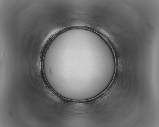 X0000115111408200911101555