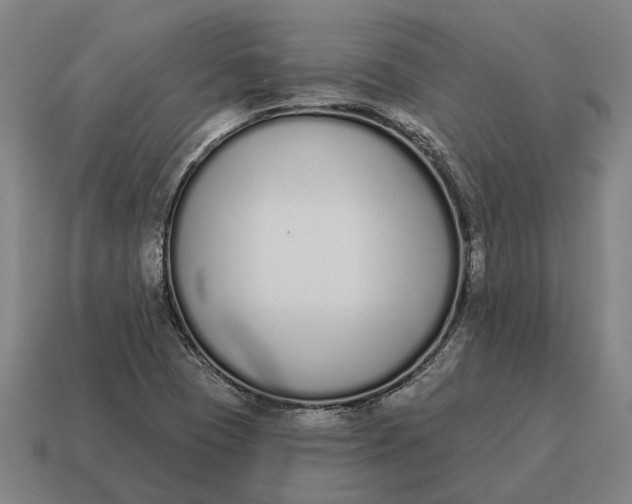 X0000115111409200911101556