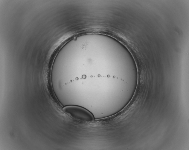 X0000115111410200911101556