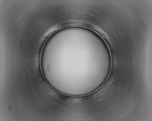 X0000115111411200911101556
