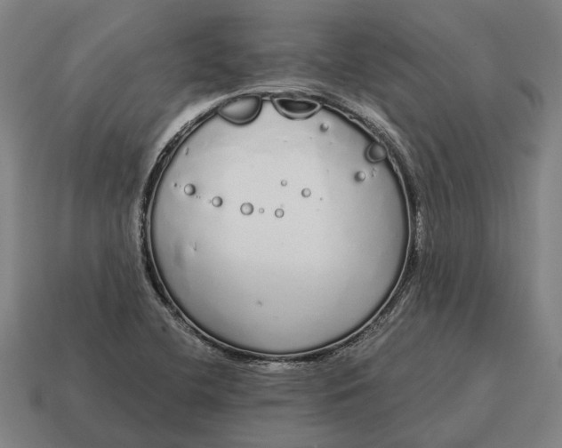 X0000115111412200911101556