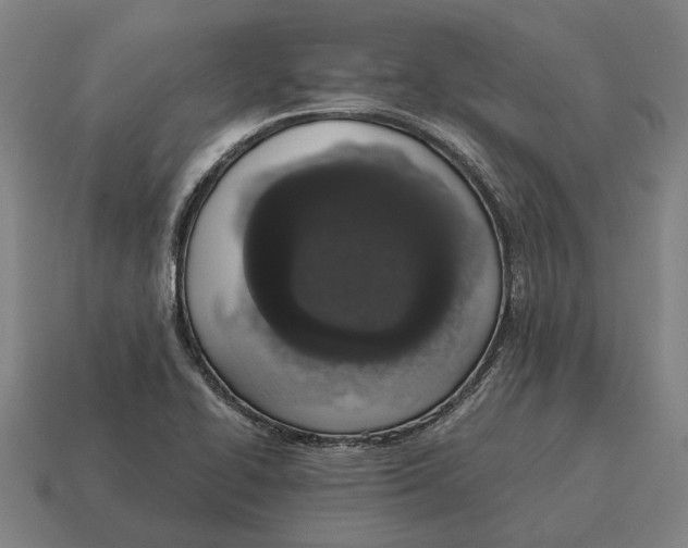 X0000115111414200911101556