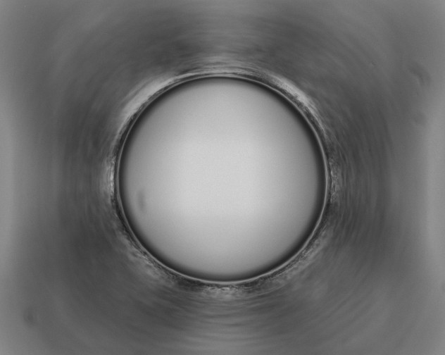X0000115111415200911101556