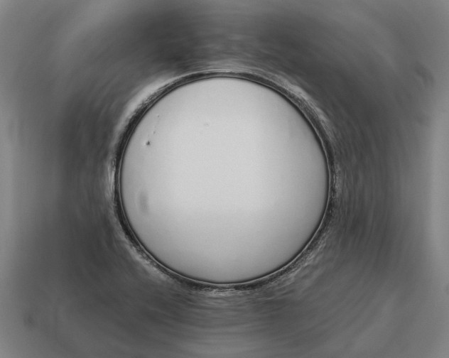 X0000115111416200911101556