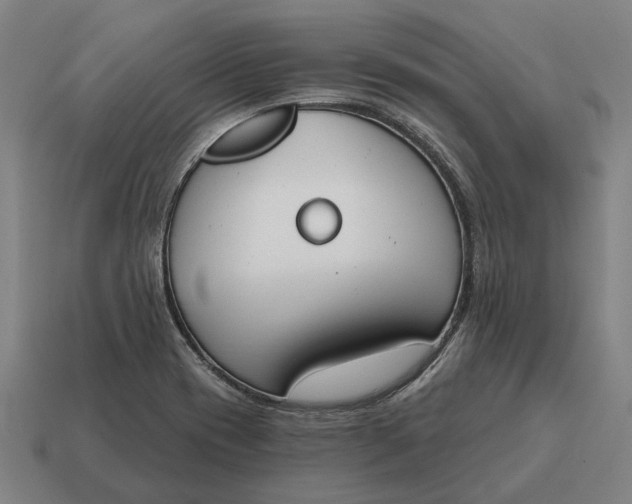 X0000115111417200911101556