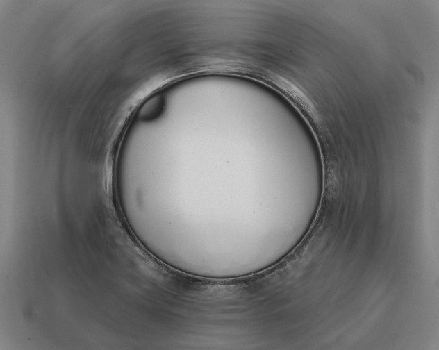 X0000115111419200911101556