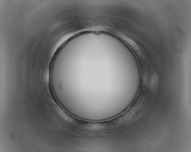 X0000115111420200911101556