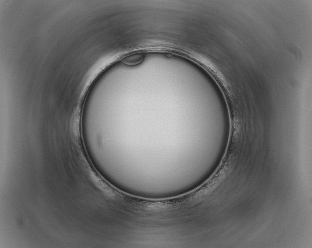 X0000115111421200911101556