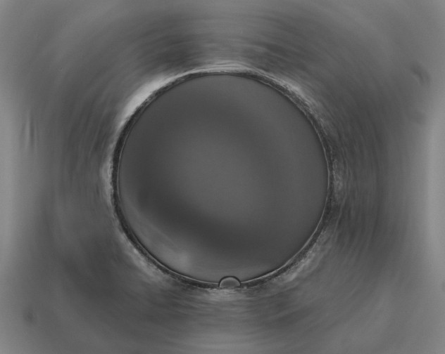X0000115111422200911101556