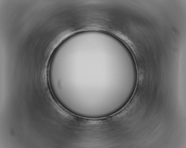 X0000115111423200911101556