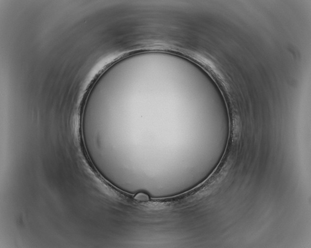 X0000115111424200911101556
