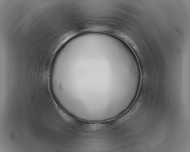 X0000115111425200911101556
