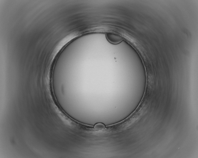 X0000115111426200911101556