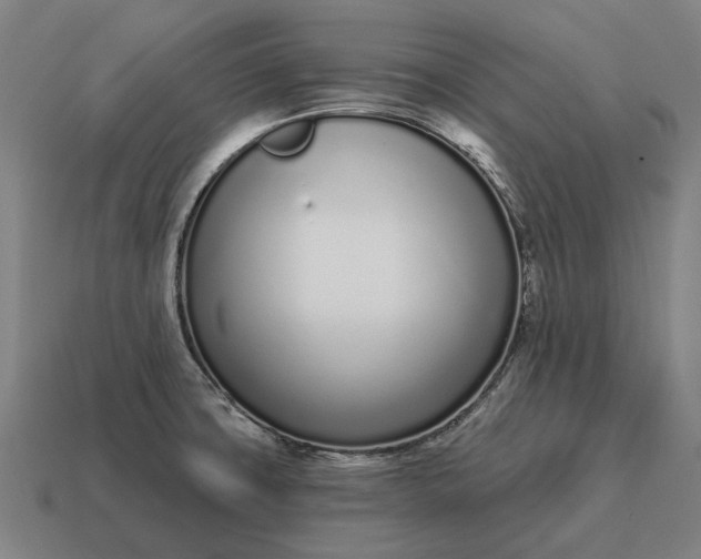 X0000115111427200911101556