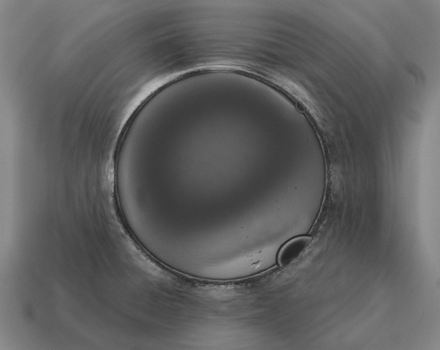 X0000115111428200911101556