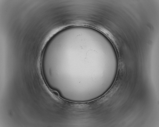 X0000115111429200911101556