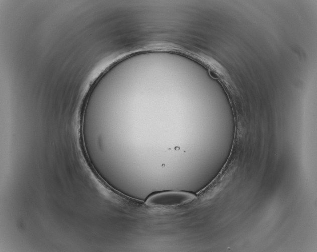 X0000115111430200911101556