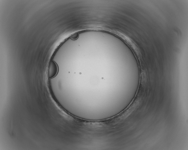 X0000115111432200911101556