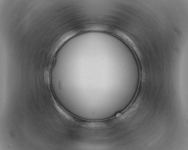 X0000115111433200911101556