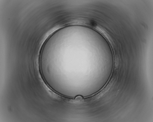 X0000115111434200911101556