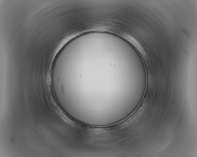 X0000115111436200911101556