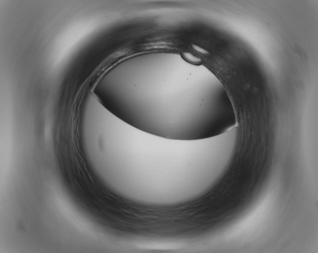 X0000115111438200911101556