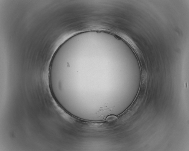 X0000115111439200911101556