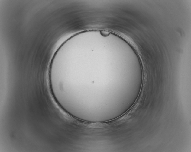 X0000115111440200911101556
