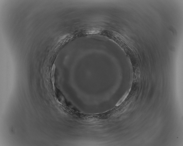 X0000115111441200911101555