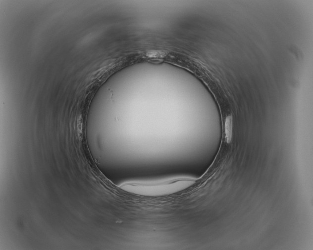 X0000115111443200911101555