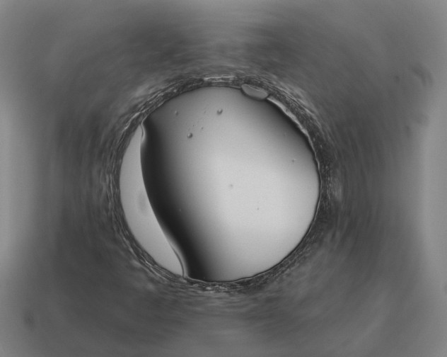 X0000115111445200911101555